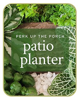 Patio Planter