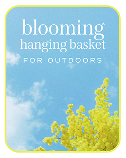 Outdoor Blooming Hanging Basket