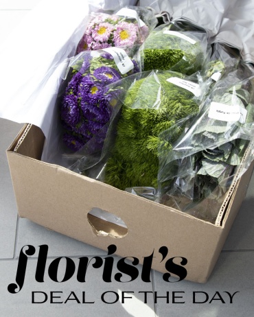 Florist\'s Deal of the Day